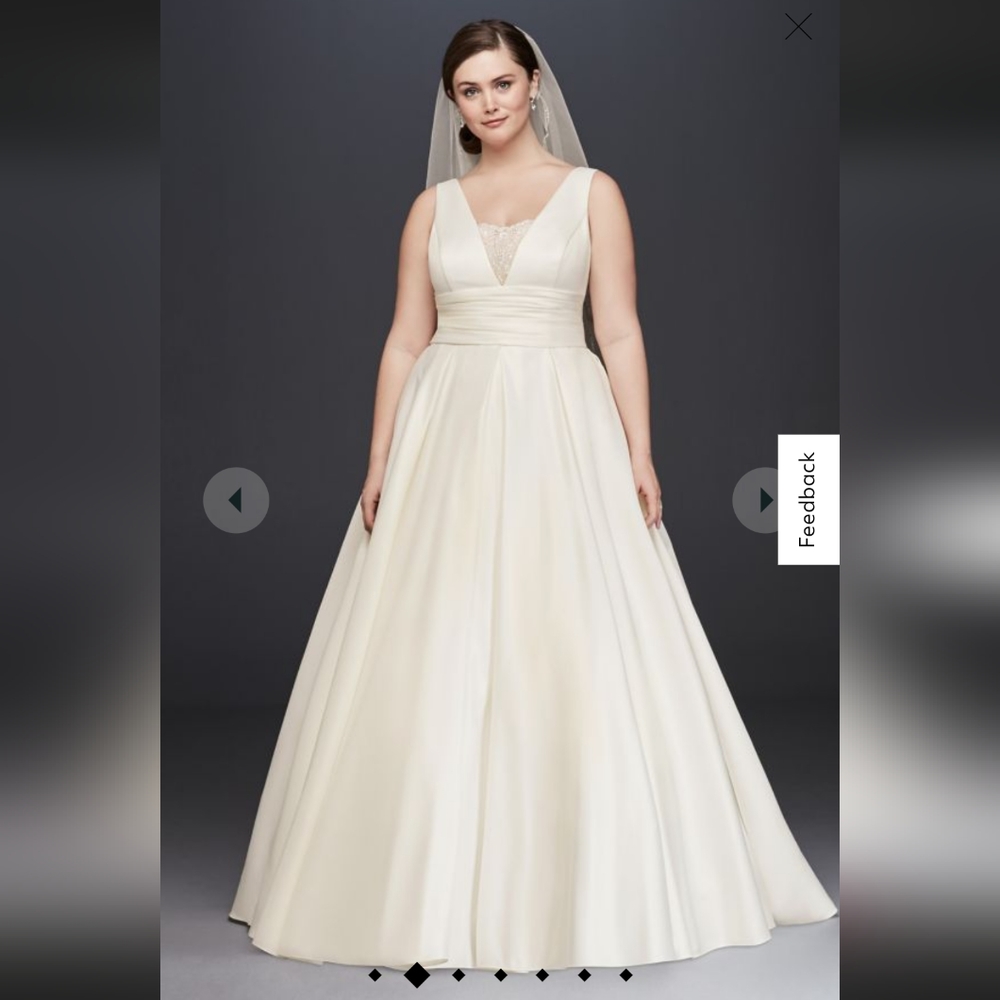 David's Bridal ball gown wedding dress